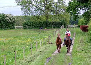 Training the pony (photo)
